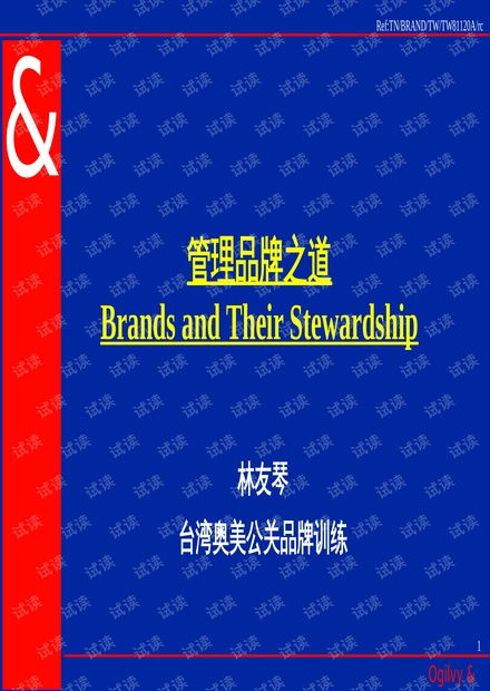 品牌管理之道 構建持久競爭優勢的核心理念與實踐